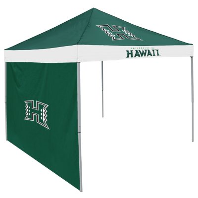 Sams hotsell club canopy