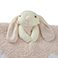 Rose, variant on Barefoot Dreams CozyChic Dream Buddie