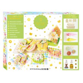 Easter Spring Time Cookie Decorating Kit		
