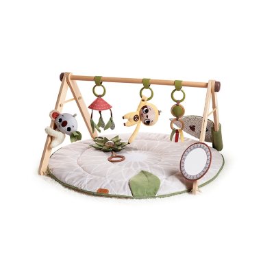 Baby Walkers, Playmats & Jumpers