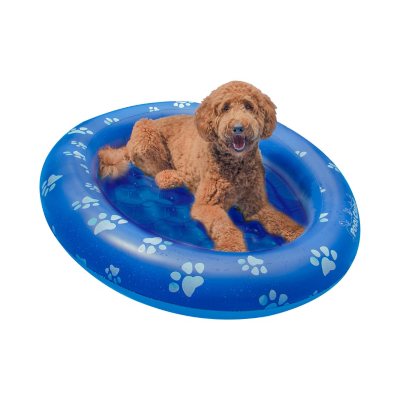 Pool toys for dogs best sale