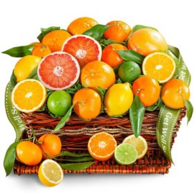 Golden State Fruit Get Well Soon Citrus Gift Basket
