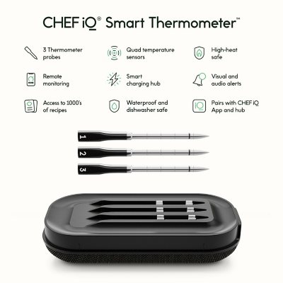 Chef IQ Smart Thermometer Review - 2023 - The Gray Area