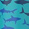 Shark, variant on Bentgo 2-Pack Kids Stainless Steel 14 oz Water Bottle Set, Assorted Designs