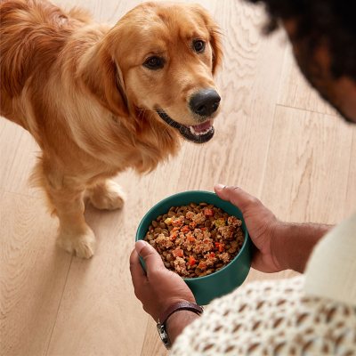 ドッグフード junk 250712 Amazon.com: Jinx Wet Dog Food, Grain Free, Made with Real