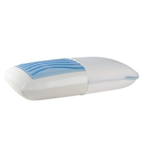 Sealy Dreamlife Medium Firm Gel Memory Foam Pillow (Assorted Sizes)