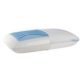 Sealy Dreamlife Medium Firm Gel Memory Foam Pillow (Assorted Sizes)