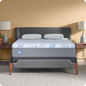 Sealy Dreamlife 12" Soft Memory Foam Mattress (Assorted Sizes)