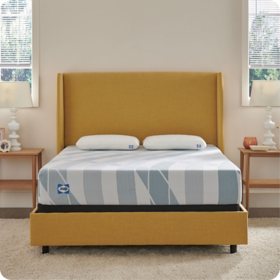 Sealy Dreamlife 10" Medium Firm Hybrid Mattress (Assorted Sizes)