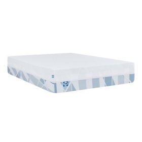 Sealy Dreamlife 3" Gel Memory Foam Mattress Topper and Cover (Assorted Sizes)