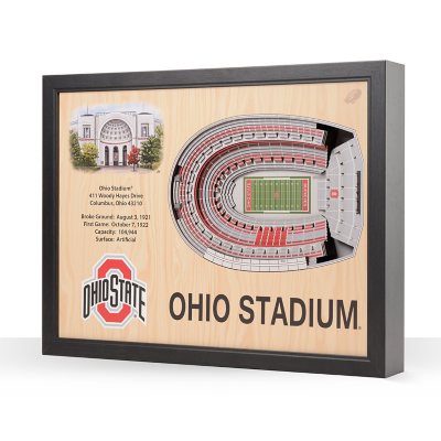 YouTheFan Ohio State Buckeyes 25-Layer Football Stadium View 3D Wall Art