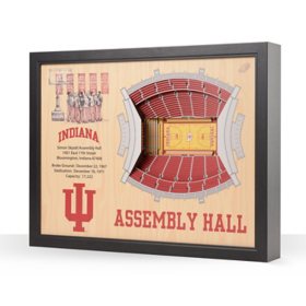 YouTheFan Indiana Hoosiers 25-Layer Basketball Stadium View 3D Wall Art
