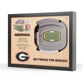YouTheFan Georgia Bulldogs 25-Layer Football Stadium View 3D Wall Art