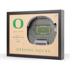 YouTheFan Oregon Ducks 25-Layer Football Stadium View 3D Wall Art