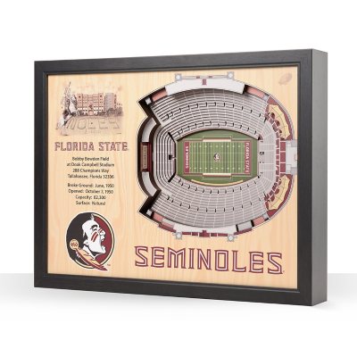 YouTheFan Florida State Seminoles 25-Layer Football Stadium View 3D Wall Art