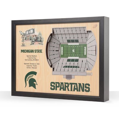 YouTheFan Michigan State Spartans 25-Layer Football Stadium View 3D Wall Art