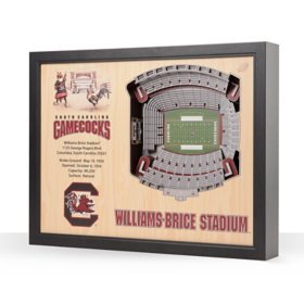 YouTheFan South Carolina Gamecocks 25-Layer Football Stadium View 3D Wall Art