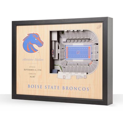 YouTheFan Boise State Broncos 25-Layer Football Stadium View 3D Wall Art