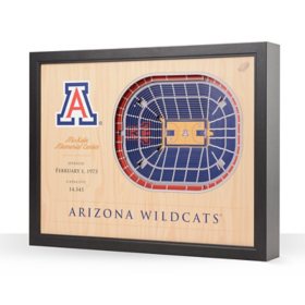 YouTheFan Arizona Wildcats 25-Layer Basketball Stadium View 3D Wall Art