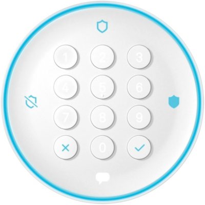nest alarm google home