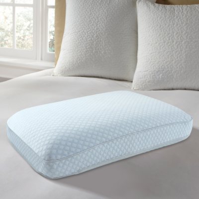 sam's club tencel pillow