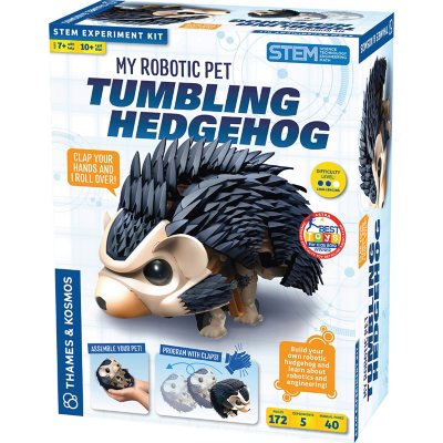 Thames & Kosmos My Robotic Pet: Tumbling Hedgehog Mechanical Kit in Black at Nordstrom