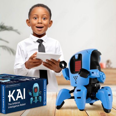 KAI: The Artificial Intelligence Robot 