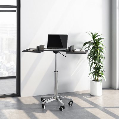 Adjustable Sit to Stand Desk - Techni Mobili