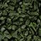 Green, variant on Member's Mark Rubber Mulch, Assorted Colors & 25/1.5 cu ft Bags
