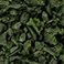 Green, variant on Member's Mark Recycled Rubber Nugget Mulch, Assorted Colors & 50/1.5 cu ft bags