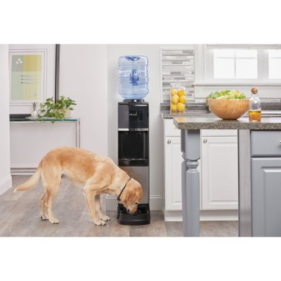 Primo Top Loading Water Dispenser with Pet Station, Primo Water