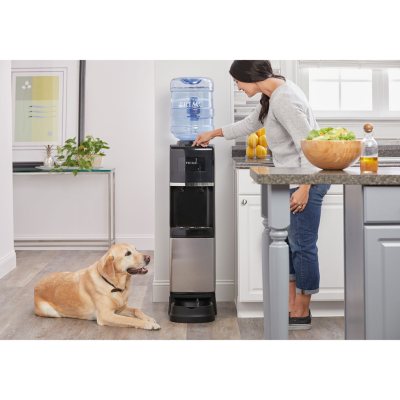 Cold water dispenser for sales dogs