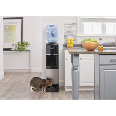 Water dispenser with outlet pet bowl