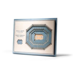 YouTheFan North Carolina Tar Heels 17"x13" 3D 5 Layer Stadium View Wall Art