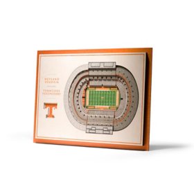 YouTheFan Tennessee Volunteers 17"x13" 3D 5 Layer Stadium View Wall Art