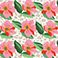 Wild Rose - 20" x 20", variant on STUDIOCHIC Home Summer Brights Indoor/Outdoor Decorative Pillow