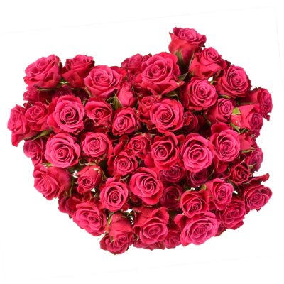 Member's Mark Fresh Rose Petals (Choose color variety, 3000 ct.) - Sam's  Club