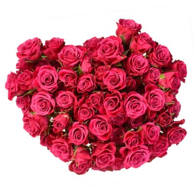 Member's Mark Roses & Petals Combo, 75 stems and 2000 petals (Choose color)  - Sam's Club