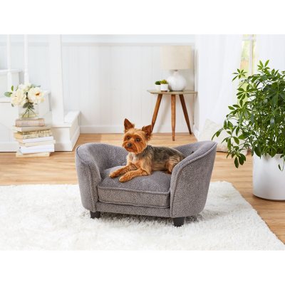gray dog sofa