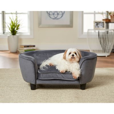gray dog sofa