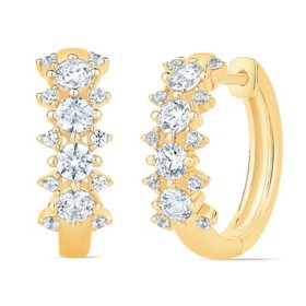 0.35 CT. T. W. Diamond Shepherd Hook Earrings in 14K Yellow Gold - Sam's  Club