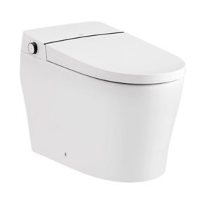 OVE Decors Ella White Tall Elongated Smart Toilet with Bidet Toilet Seat		