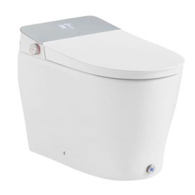 OVE Decors Clarke White Tall Elongated Smart Toilet with Bidet Toilet Seat		