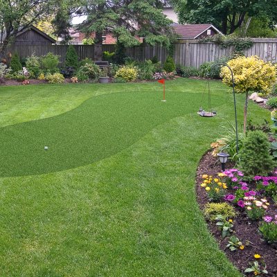 Select Surfaces Evergreen Artificial Grass Roll (Assorted Sizes) - Sam's  Club