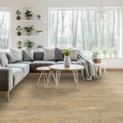 Select Surfaces Savannah Gallery Series Laminate Flooring ( 14.40 sqft per box)