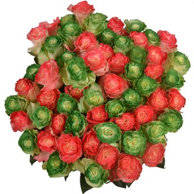 Member's Mark Illusion 50cm Roses, 96 Stems (Green & Red)