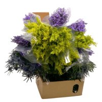 Mixed Filler Flowers Box (180 stems)