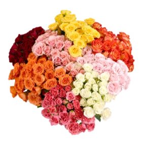 Member's Mark Spray Roses (Choose from 7 varieties; 60, 80 or 120 stems)