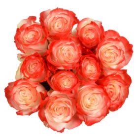 Member's Mark Illusion Roses 12 stems