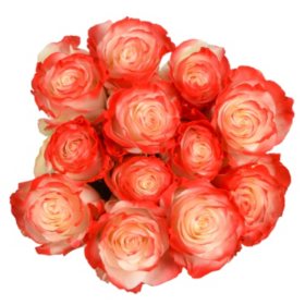 Member's Mark Illusion Roses, (12 stems)